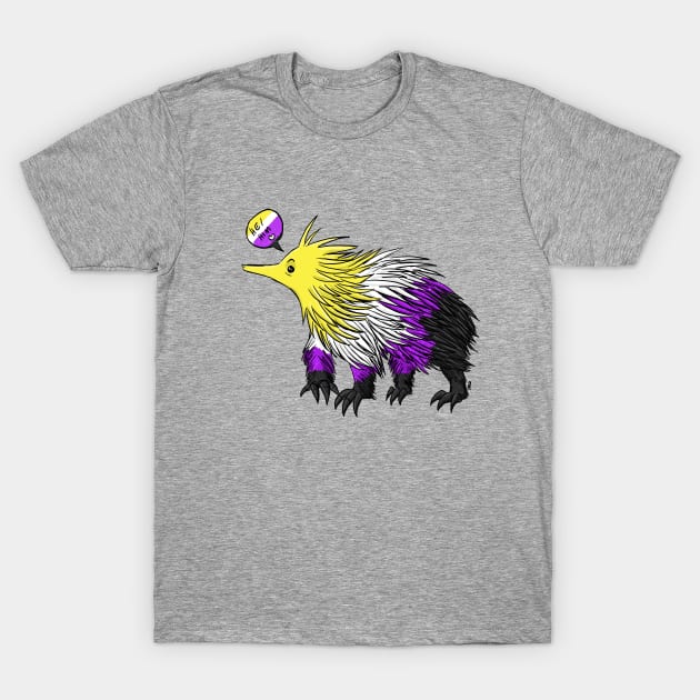 Non Binary Echidna He/Him Pronouns T-Shirt by manicgremlin